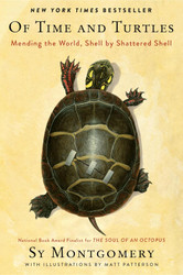 Of Time and Turtles: Mending the World Shell by Shattered Shell