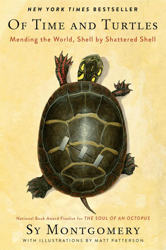 Of Time and Turtles: Mending the World Shell by Shattered Shell