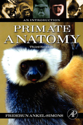 Primate Anatomy: An Introduction