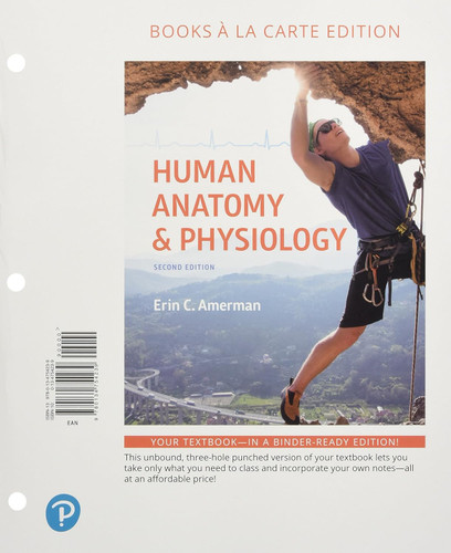 Human Anatomy & Physiology