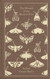 The Hound of the Baskervilles (Penguin Clothbound Classics)