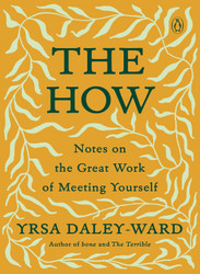 The How: Notes on the Great Work of Meeting Yourself