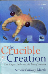 The Crucible of Creation