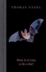 What Is It Like to Be a Bat?