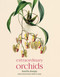 Extraordinary Orchids