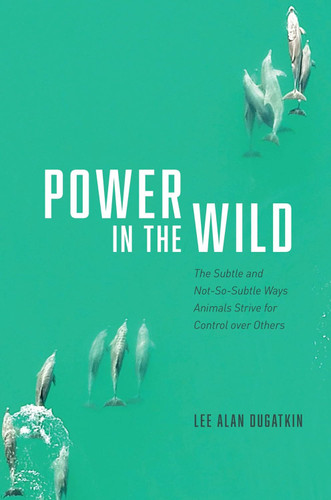 Power in the Wild: The Subtle and Not-So-Subtle Ways Animals Strive