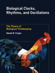 Biological Clocks Rhythms and Oscillations: The Theory of Biological