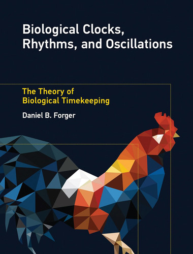Biological Clocks Rhythms and Oscillations: The Theory of Biological