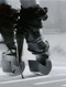 Shoe Obsession