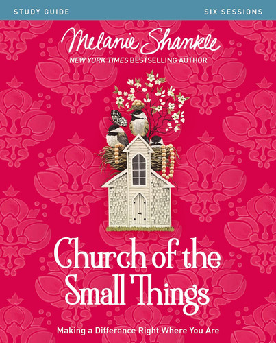 Church of the Small Things Bible Study Guide: Making a Difference