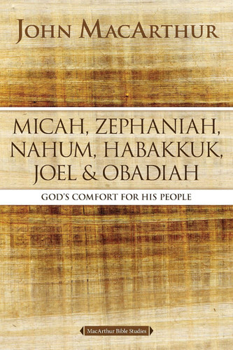 Micah Zephaniah Nahum Habakkuk Joel and Obadiah: God's Comfort for