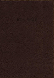 NIV Foundation Study Bible Leathersoft Brown Red Letter Thumb Indexed