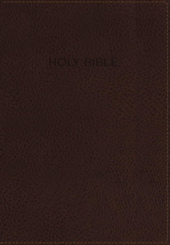 NIV Foundation Study Bible Leathersoft Brown Red Letter Thumb Indexed