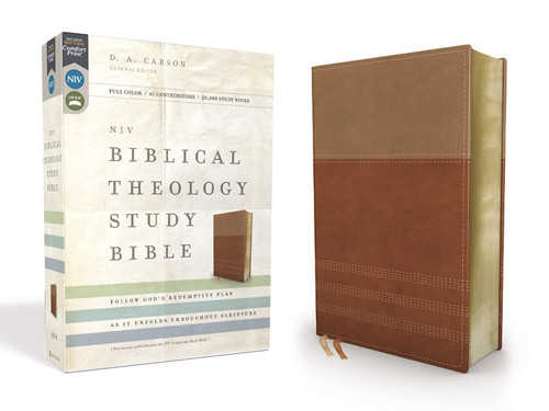 NIV Biblical Theology Study Bible