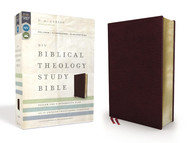 NIV Biblical Theology Study Bible