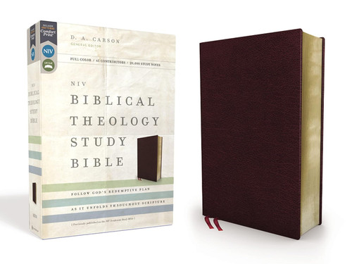 NIV Biblical Theology Study Bible
