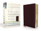 NIV Biblical Theology Study Bible
