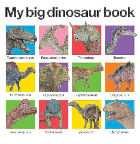 My Big Dinosaur Book (My Big Board Books)