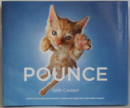 Pounce