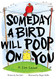Someday a Bird Will Poop on You: A Life Lesson