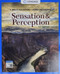 Sensation and Perception