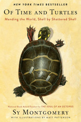 Of Time and Turtles: Mending the World Shell by Shattered Shell