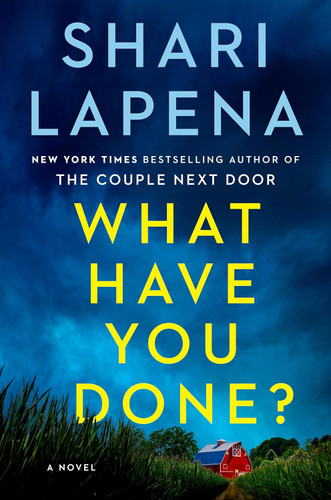 What Have You Done?: A Novel