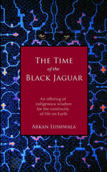 The Time of the Black Jaguar: An Offering of Indigenous Wisdom for