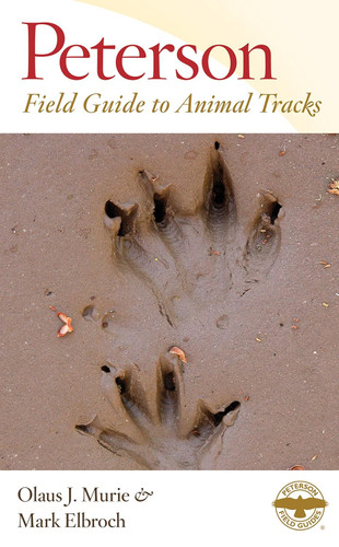 Peterson Field Guide to Animal Tracks: (Peterson Field Guides)