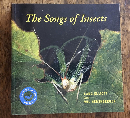 The Songs of Insects