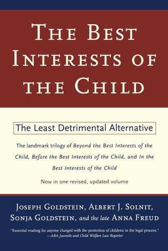 The Best Interests of the Child The Best Interests of the Child