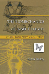 The Biomechanics of Insect Flight: Form Function Evolution