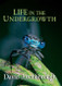 Life in the Undergrowth