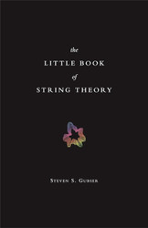 The Little Book of String Theory (Science Essentials 11)