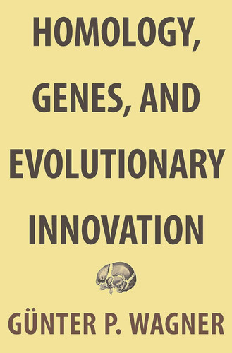 Homology Genes and Evolutionary Innovation