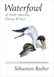 Waterfowl of North America Europe and Asia