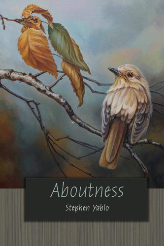 Aboutness (Carl G. Hempel Lecture Series 3)