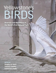 Yellowstone's Birds: Diversity and Abundance in the World's First