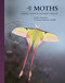 The Lives of Moths: A Natural History of Our Planet's Moth Life