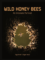 Wild Honey Bees: An Intimate Portrait