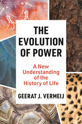 The Evolution of Power