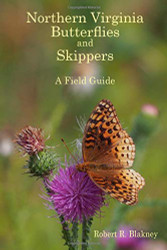 Northern Virginia Butterflies and Skippers: A Field Guide
