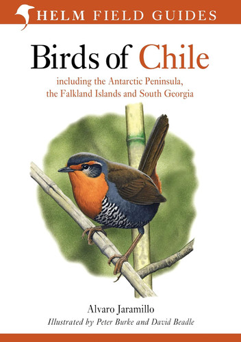 Field Guide to the Birds of Chile