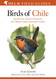 Field Guide to the Birds of Chile