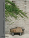 The Noguchi Museum - A Portrait by Tina Barney and Stephen Shore