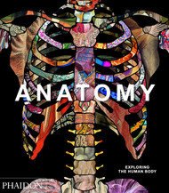 Anatomy: Exploring the Human Body