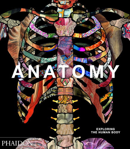 Anatomy: Exploring the Human Body