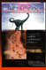 Night Comes to the Cretaceous: Dinosaur Extinction and the