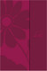 Holy Bible: New Century Version Women of Faith Amazing Freedom