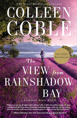 The View from Rainshadow Bay (A Lavender Tides Novel)